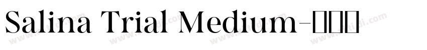 Salina Trial Medium字体转换